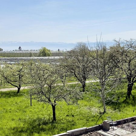 Ferienwohnung Plocher Immenstaad am Bodensee Exteriör bild