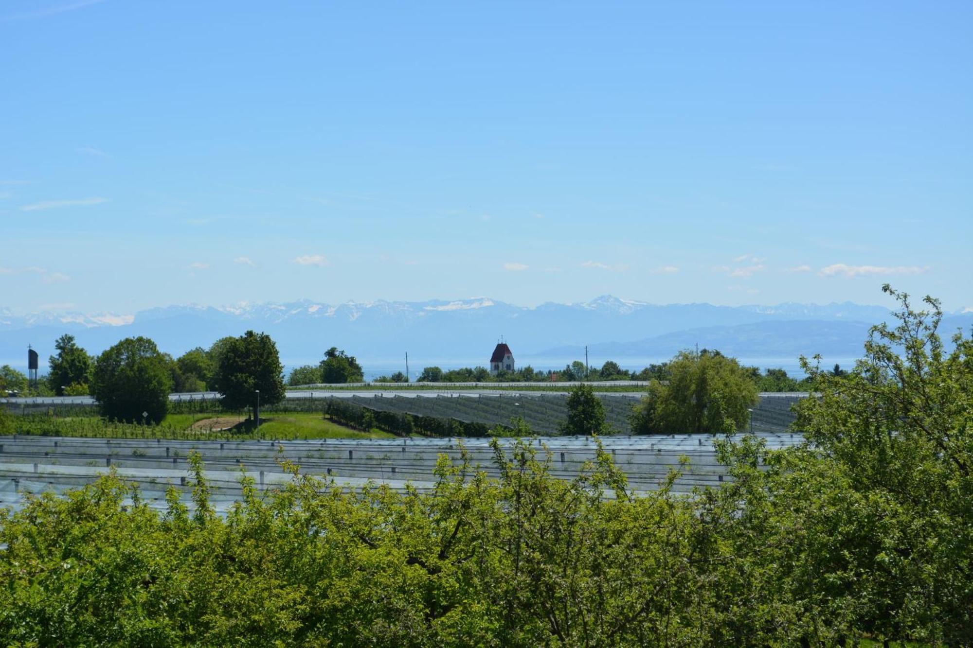 Ferienwohnung Plocher Immenstaad am Bodensee Exteriör bild