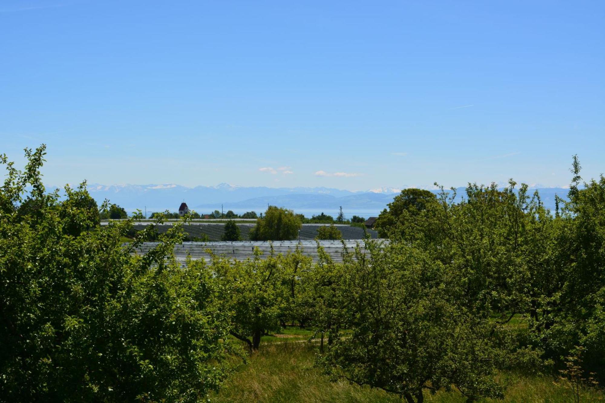 Ferienwohnung Plocher Immenstaad am Bodensee Exteriör bild